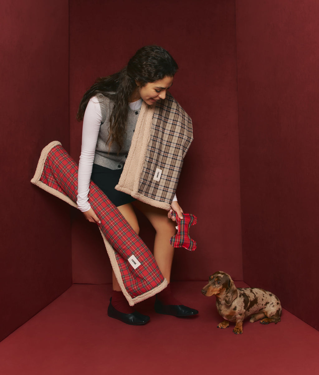 Manta Perro Red Royal Steward, Toia-2