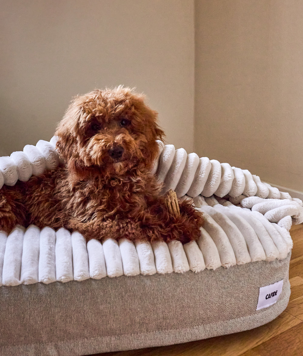Cama Perro con Capucha Chenilla Beige, Maso-3