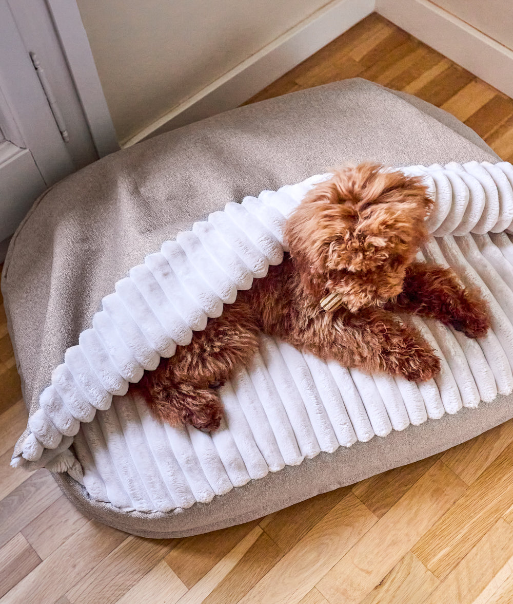 Cama Perro con Capucha Chenilla Beige, Maso-1